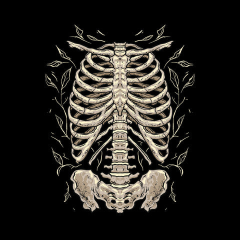 Skeleton Chest Skeleton Chest