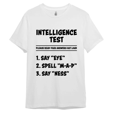 Intelligence Test