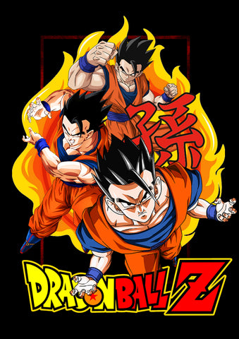 ANIME DRAGON BALL_D3