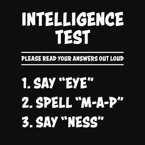 Intelligence Test